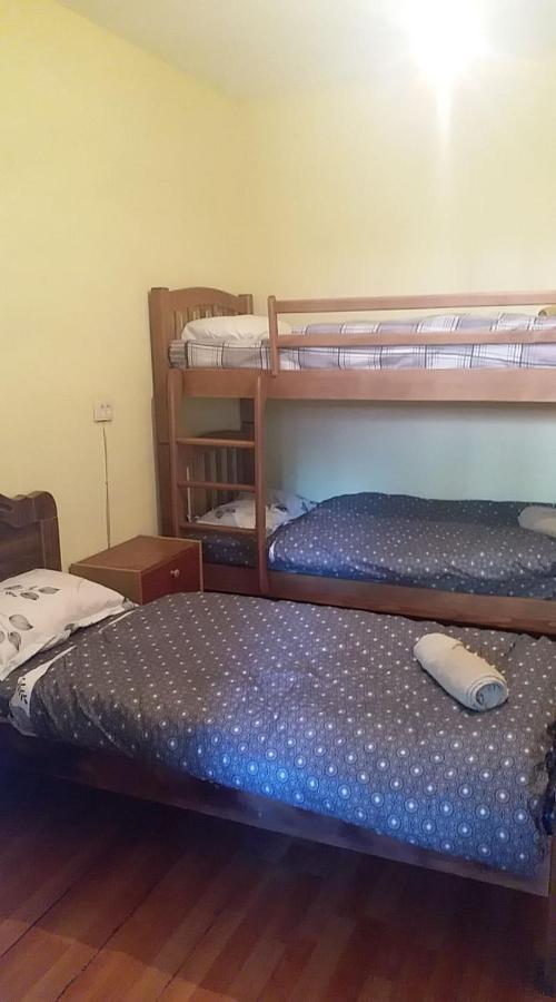 Lost Inn Kazbegi Hostel 외부 사진