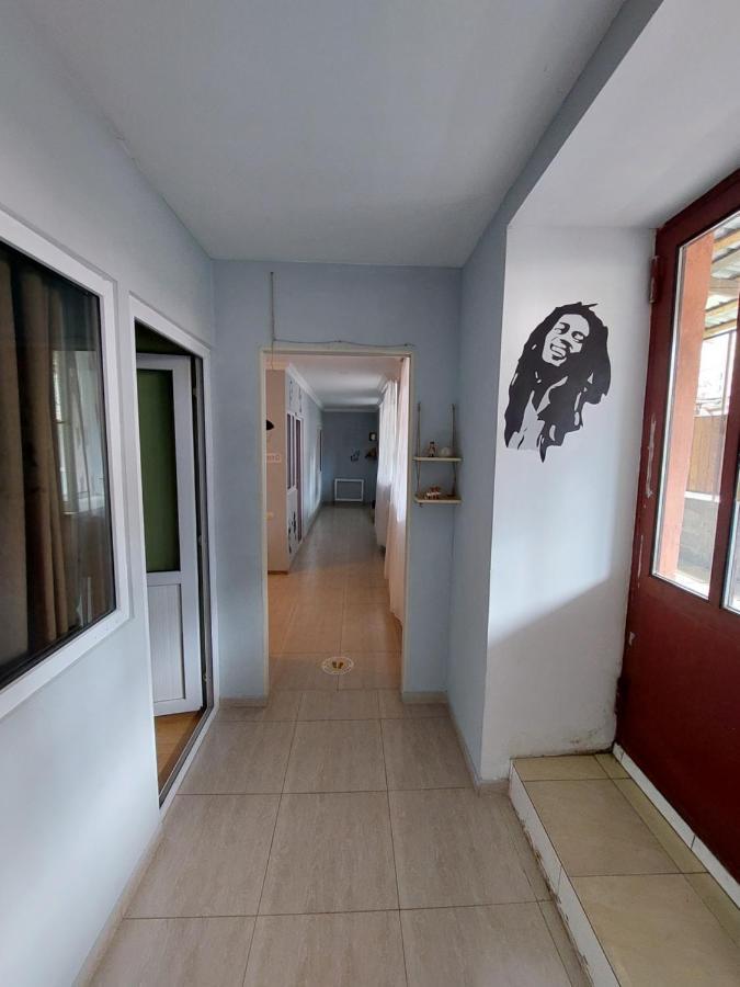 Lost Inn Kazbegi Hostel 외부 사진